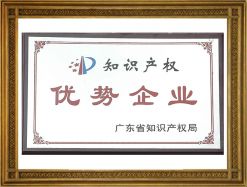 知識(shí)產(chǎn)權(quán)優(yōu)勢(shì)企業(yè)